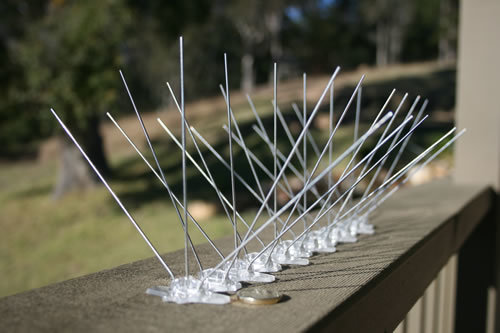 Bird spike installation service